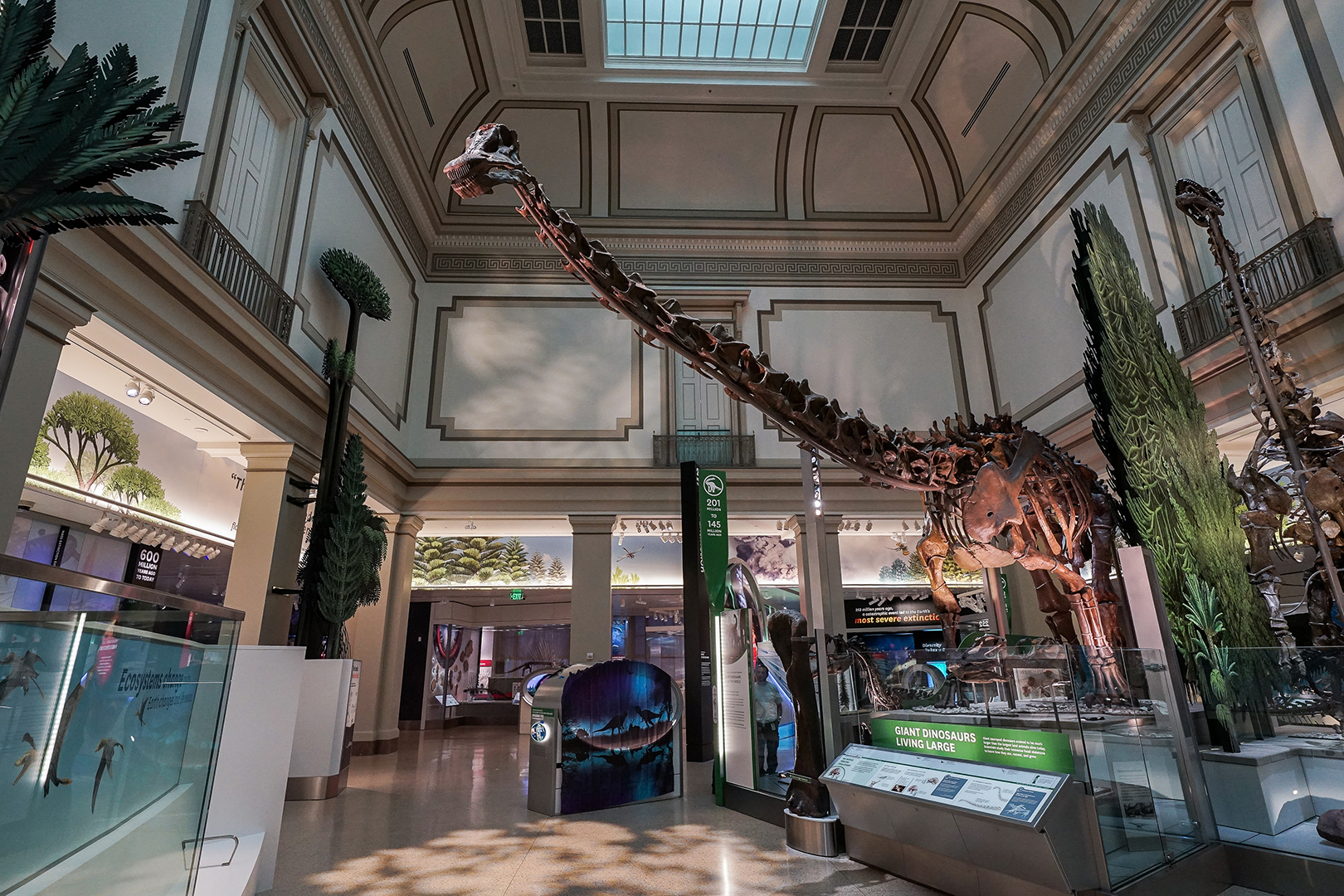 National Museum of Natural History | Zone Display Cases